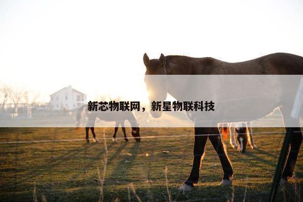 新芯物联网，新星物联科技