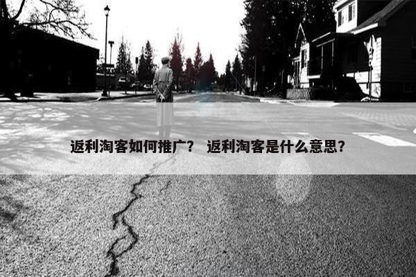 返利淘客如何推广？ 返利淘客是什么意思？
