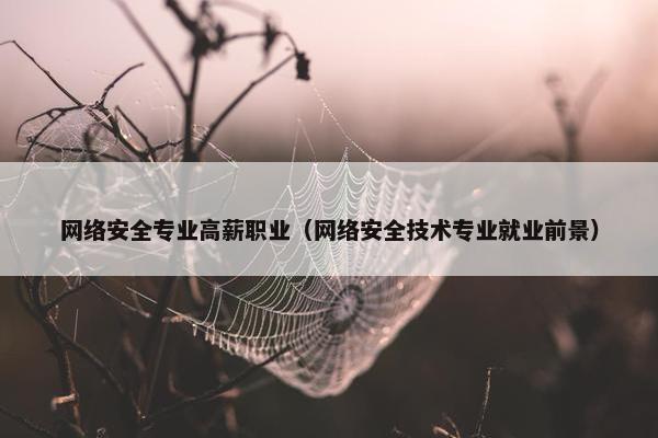 网络安全专业高薪职业（网络安全技术专业就业前景）
