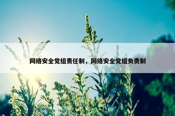 网络安全党组责任制，网络安全党组负责制