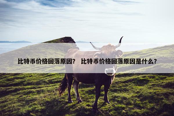比特币价格回落原因？ 比特币价格回落原因是什么？