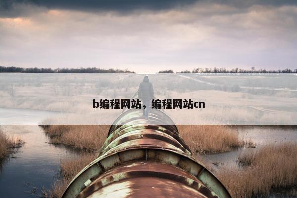 b编程网站，编程网站cn