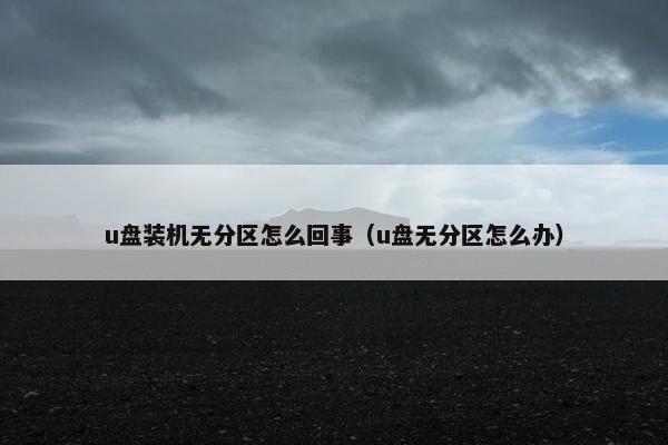 u盘装机无分区怎么回事（u盘无分区怎么办）