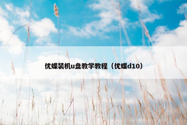 优蝶装机u盘教学教程（优蝶d10）