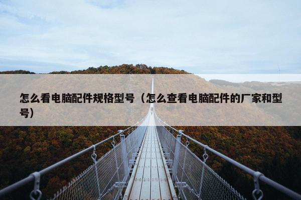 怎么看电脑配件规格型号（怎么查看电脑配件的厂家和型号）