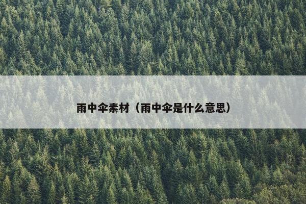 雨中伞素材（雨中伞是什么意思）