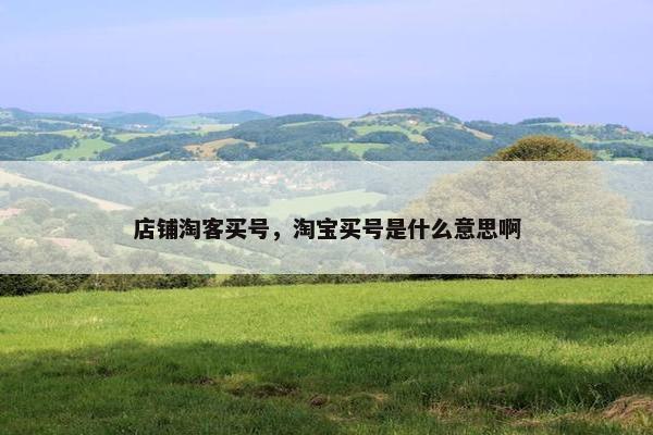 店铺淘客买号，淘宝买号是什么意思啊