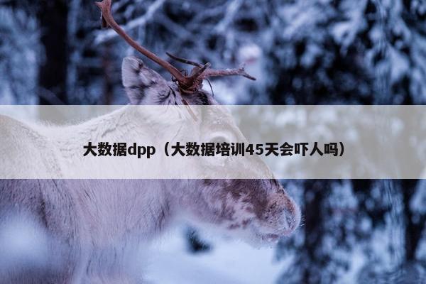 大数据dpp（大数据培训45天会吓人吗）