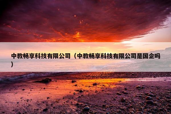 中教畅享科技有限公司（中教畅享科技有限公司是国企吗）