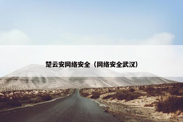 楚云安网络安全（网络安全武汉）