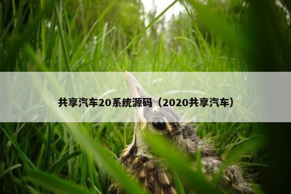共享汽车20系统源码（2020共享汽车）