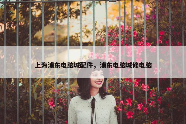 上海浦东电脑城配件，浦东电脑城修电脑