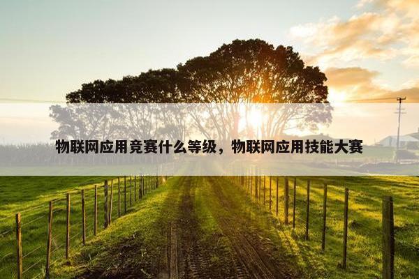 物联网应用竞赛什么等级，物联网应用技能大赛