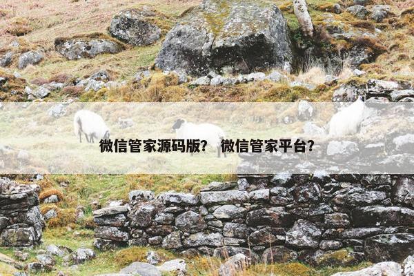 微信管家源码版？ 微信管家平台？