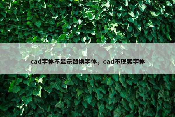 cad字体不显示替换字体，cad不现实字体