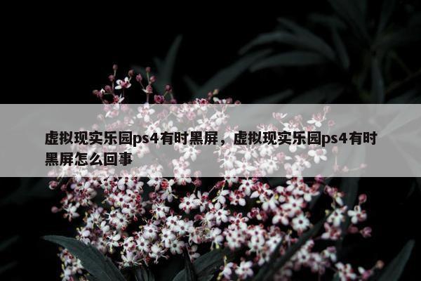 虚拟现实乐园ps4有时黑屏，虚拟现实乐园ps4有时黑屏怎么回事