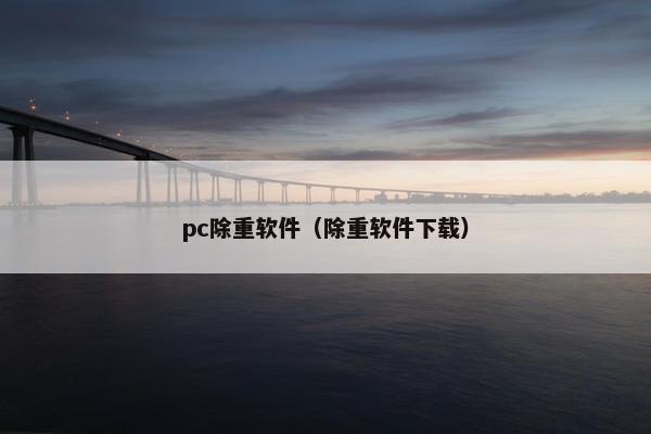 pc除重软件（除重软件下载）