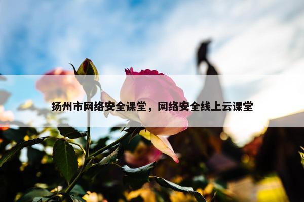 扬州市网络安全课堂，网络安全线上云课堂