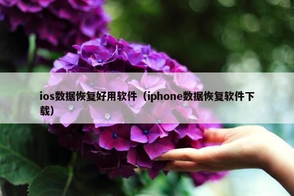 ios数据恢复好用软件（iphone数据恢复软件下载）