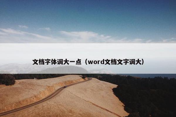 文档字体调大一点（word文档文字调大）