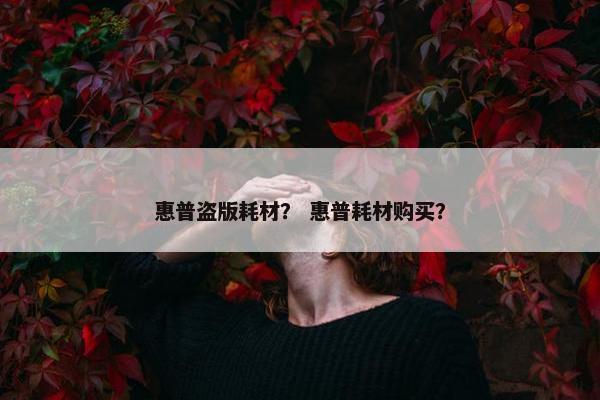 惠普盗版耗材？ 惠普耗材购买？
