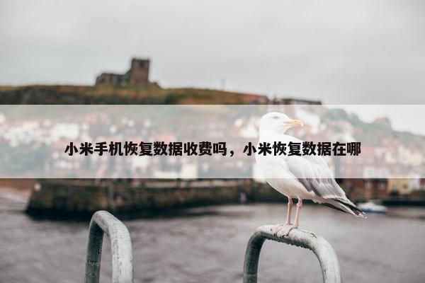 小米手机恢复数据收费吗，小米恢复数据在哪