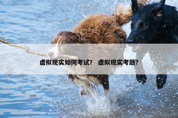 虚拟现实如何考试？ 虚拟现实考题？