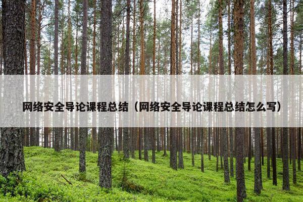 网络安全导论课程总结（网络安全导论课程总结怎么写）