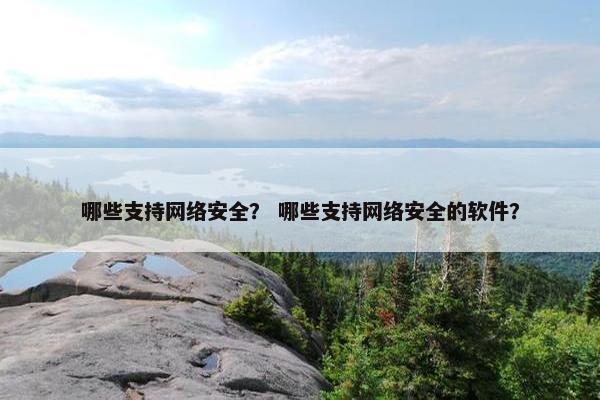 哪些支持网络安全？ 哪些支持网络安全的软件？