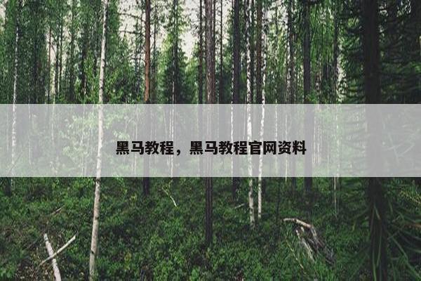 黑马教程，黑马教程官网资料