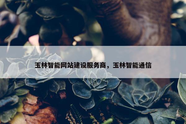 玉林智能网站建设服务商，玉林智能通信