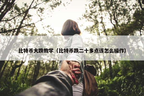 比特币大跌教学（比特币跌二十多点该怎么操作）