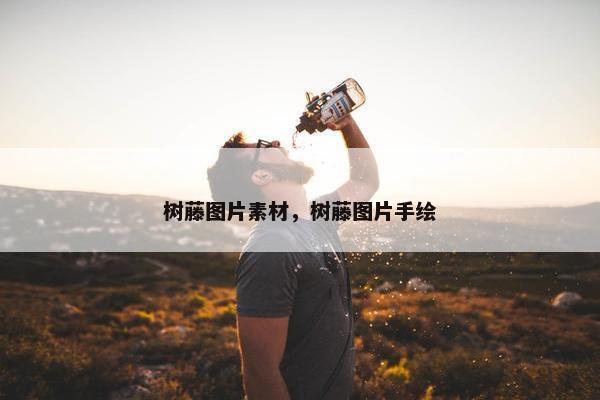 树藤图片素材，树藤图片手绘