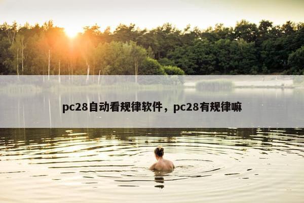 pc28自动看规律软件，pc28有规律嘛