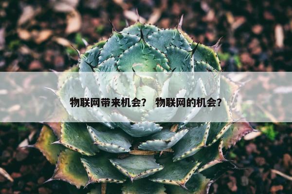 物联网带来机会？ 物联网的机会？