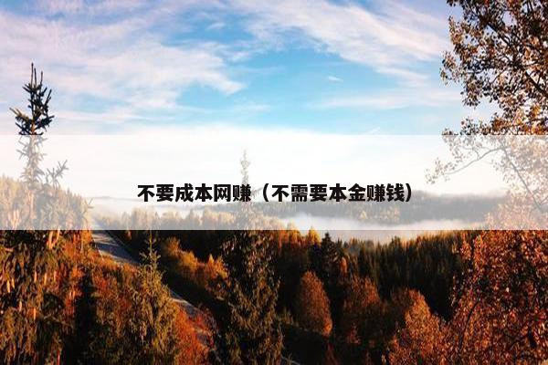 不要成本网赚（不需要本金赚钱）