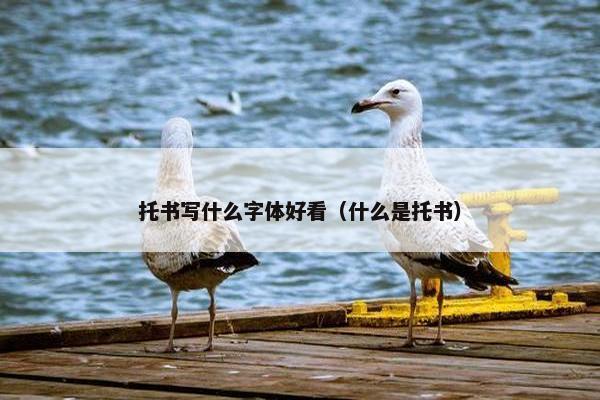 托书写什么字体好看（什么是托书）
