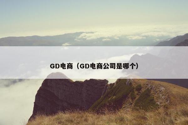 GD电商（GD电商公司是哪个）