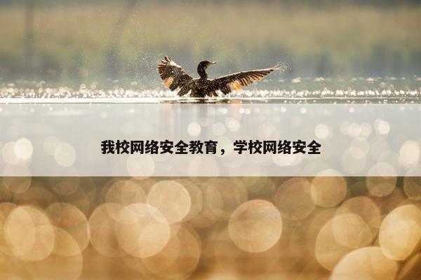 我校网络安全教育，学校网络安全