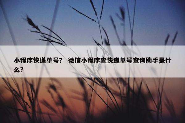 小程序快递单号？ 微信小程序查快递单号查询助手是什么？