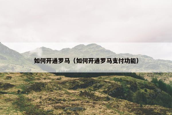如何开通罗马（如何开通罗马支付功能）