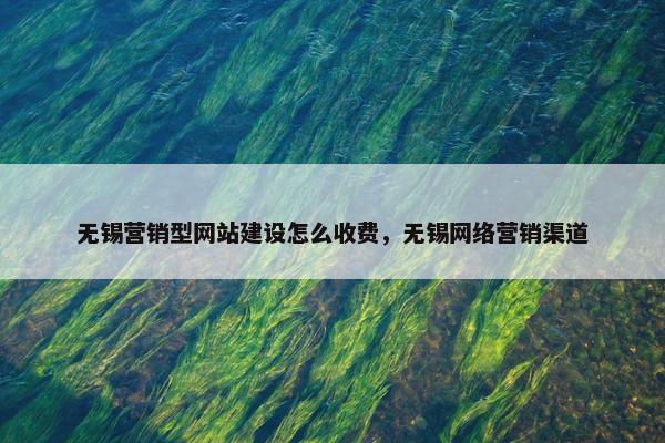 无锡营销型网站建设怎么收费，无锡网络营销渠道