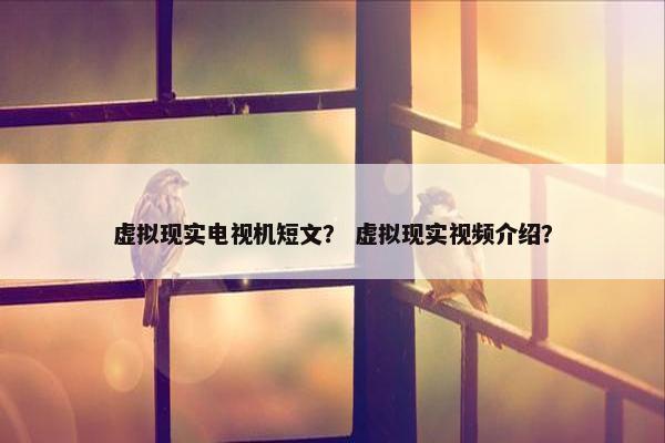 虚拟现实电视机短文？ 虚拟现实视频介绍？