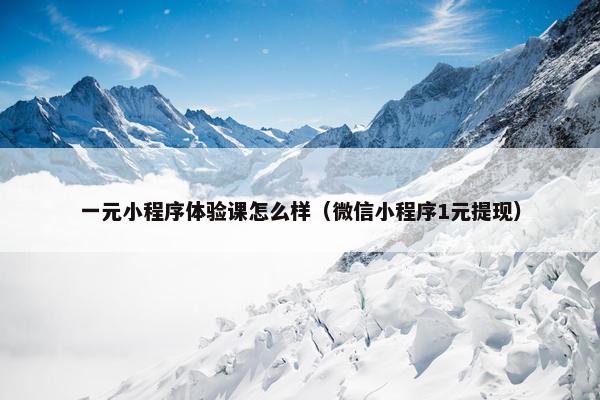 一元小程序体验课怎么样（微信小程序1元提现）