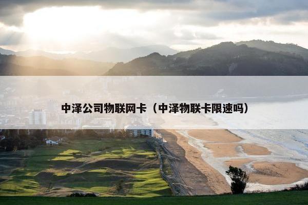 中泽公司物联网卡（中泽物联卡限速吗）