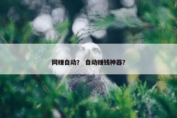 网赚自动？ 自动赚钱神器？