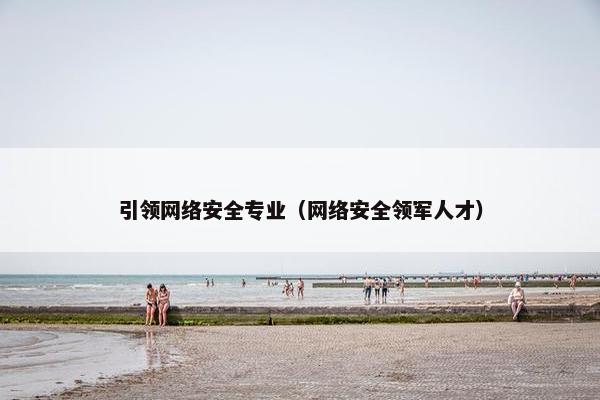 引领网络安全专业（网络安全领军人才）