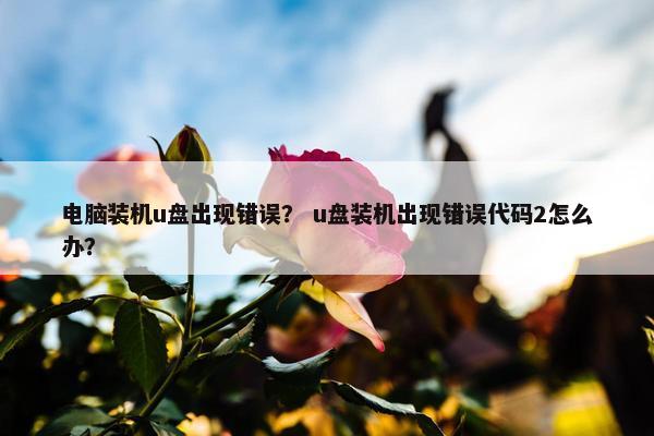 电脑装机u盘出现错误？ u盘装机出现错误代码2怎么办？