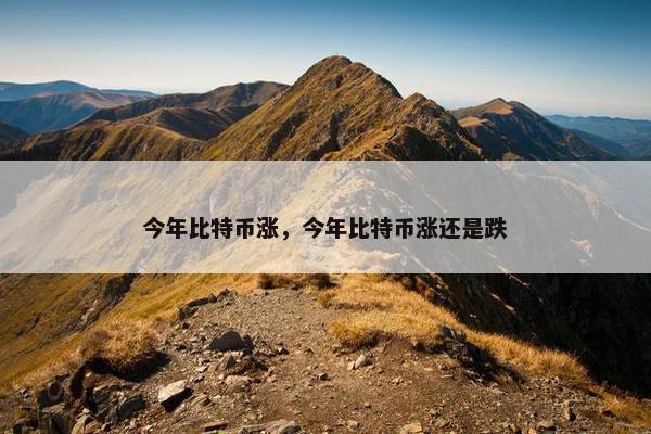 今年比特币涨，今年比特币涨还是跌