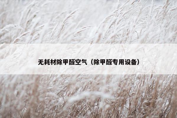 无耗材除甲醛空气（除甲醛专用设备）
